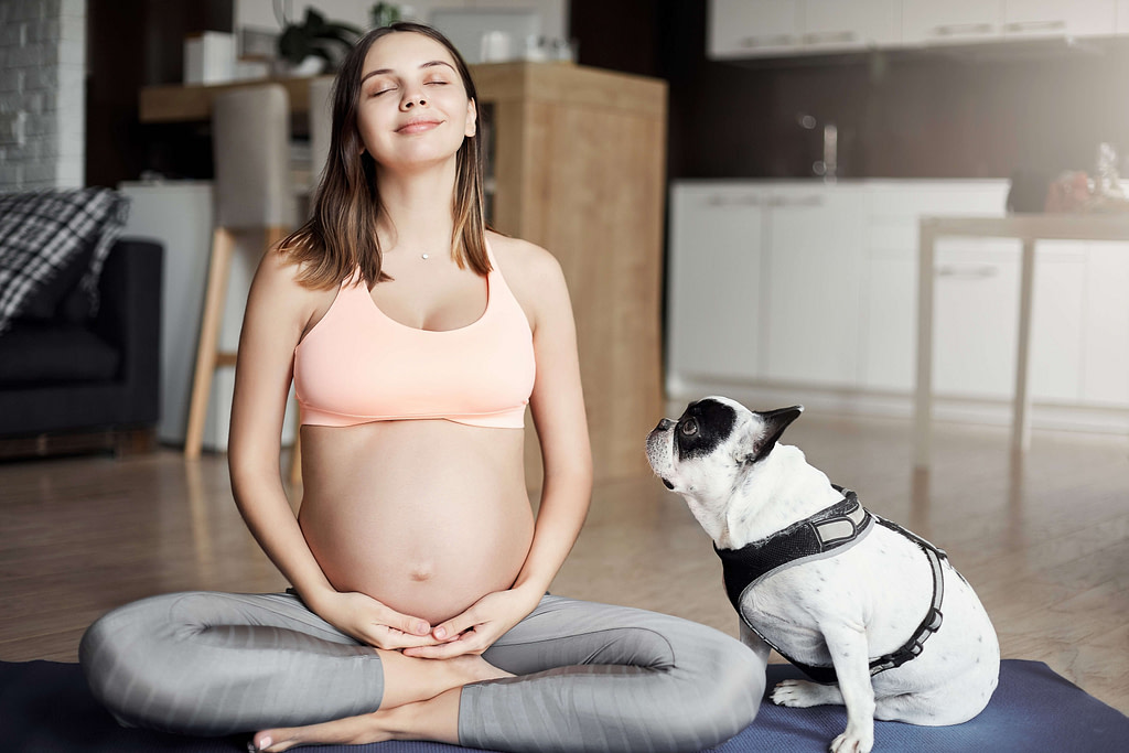 Pies i kobieta w ciąży